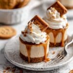 No Bake Mini Biscoff Cheesecakes Recipe