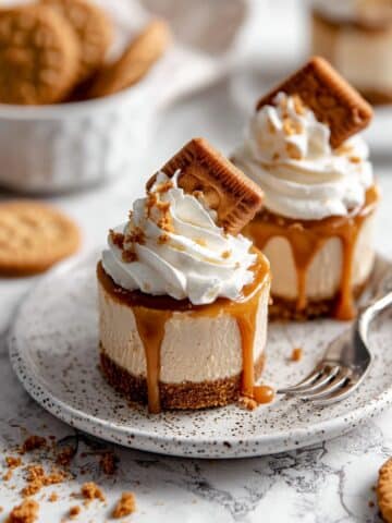No Bake Mini Biscoff Cheesecakes Recipe