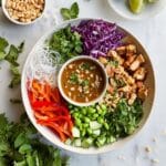 Hoisin Chicken Noodle Salad with Peanut Dressing Recipe