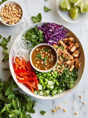 Hoisin Chicken Noodle Salad with Peanut Dressing Recipe