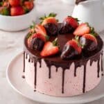 Chocolate Strawberry Cake Recipe