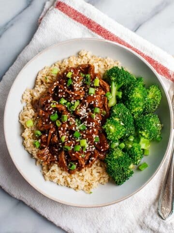 Slow Cooker Honey Garlic Chicken Recipe