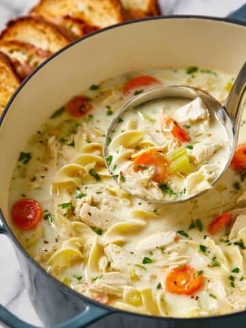Creamy Chicken Noodle Soup Recipe