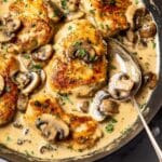 Creamy Mushroom Chicken Recipe