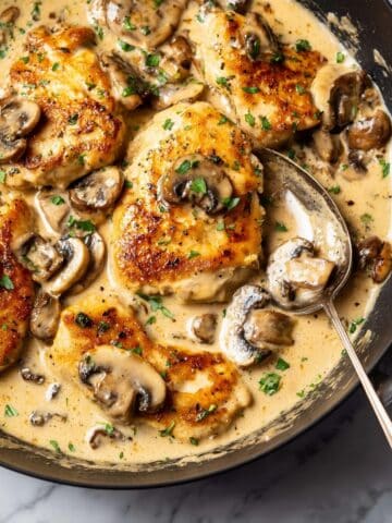 Creamy Mushroom Chicken Recipe