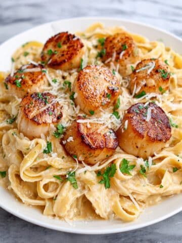 Creamy Parmesan Seared Scallops with Garlic Pasta Recipe