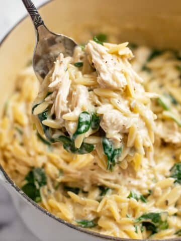 Lemon Chicken Orzo Recipe