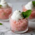 Easy Watermelon Granita Recipe (No Fuss Method!) Recipe