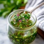 Cilantro Chimichurri Sauce Recipe