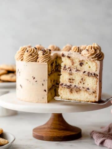 Snickerdoodle Cake Recipe