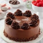 Dairy-Free Chocolate Cake - Super Easy, Moist, Fudgy Recipe