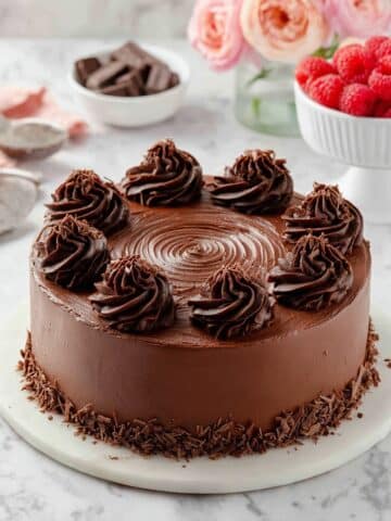 Dairy-Free Chocolate Cake - Super Easy, Moist, Fudgy Recipe