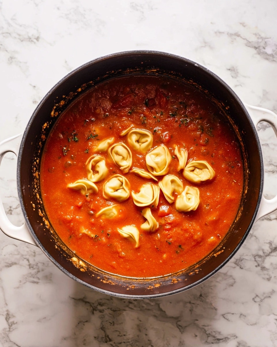 A black pot with white handles sits on a white marbled surface, filled with a rich red tomato soup that has visible small chunks of tomato and herbs. In the middle of the soup, there are about sixteen light beige tortellini pasta pieces floating on top, each with a slightly folded shape and smooth texture. The soup fills the pot almost to the top, and the pot edges have small splashes of sauce. Photo taken with an iphone --ar 4:5 --v 7